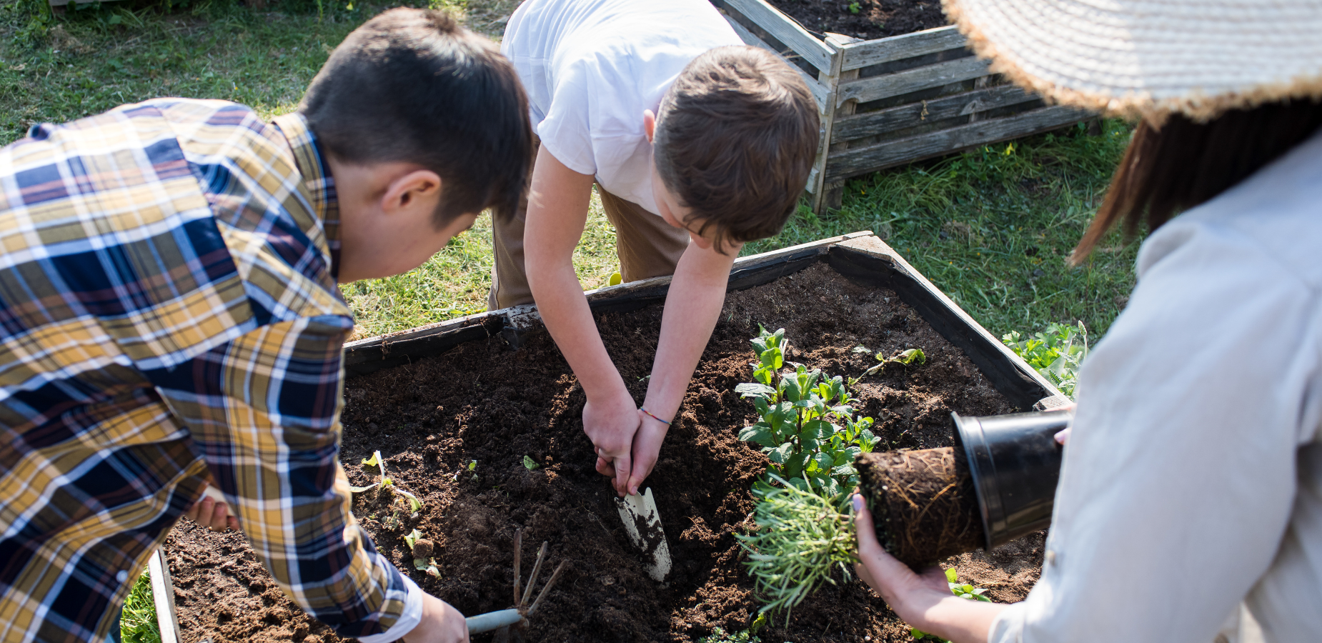 Two children gardening with an adult.